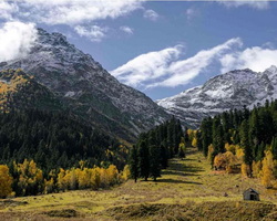 gelendjik