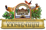 коробчицы