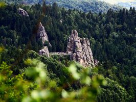 Львов + живописные Карпаты